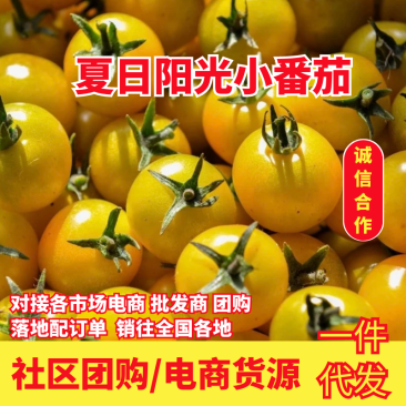 【寿光迷恋小番茄】社区团购电商货源支持一件代发