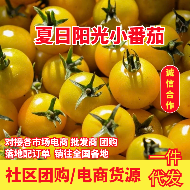 【寿光迷恋小番茄】社区团购电商货源支持一件代发