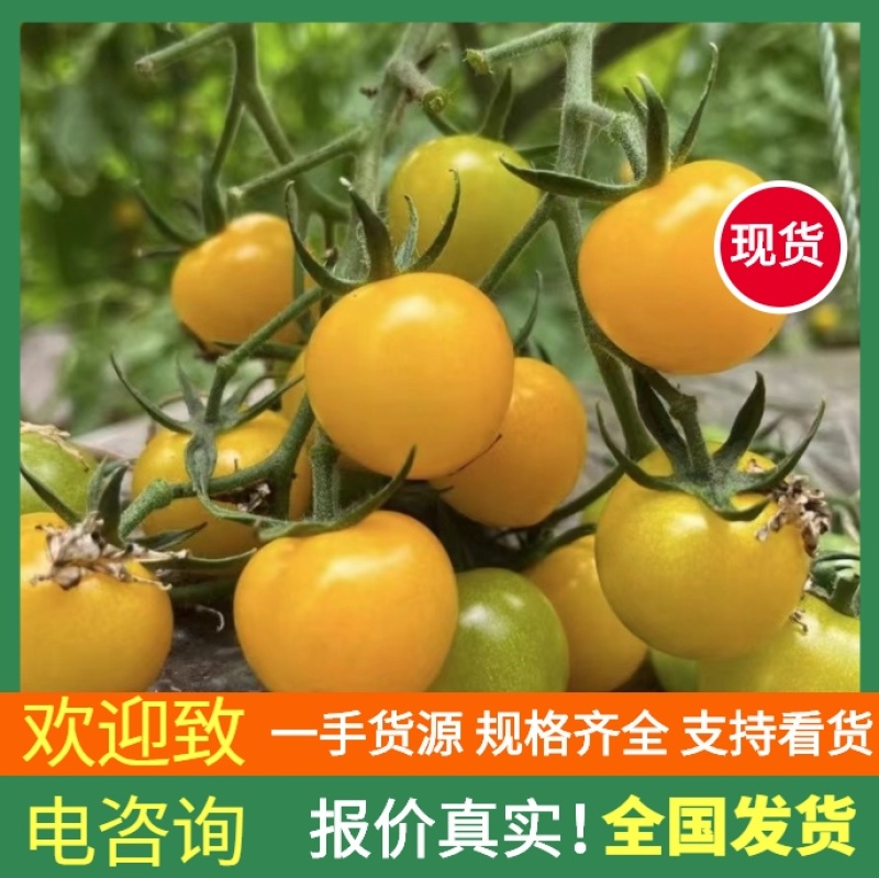 【寿光迷恋小番茄】社区团购电商货源支持一件代发