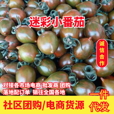 迷彩小番茄社区团购电商货源支持一件代发一手货源全国供应