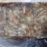 小黄花鱼船冻陆冻螃蟹龙虾，黄鳝，黑鱼养殖饲料鱼