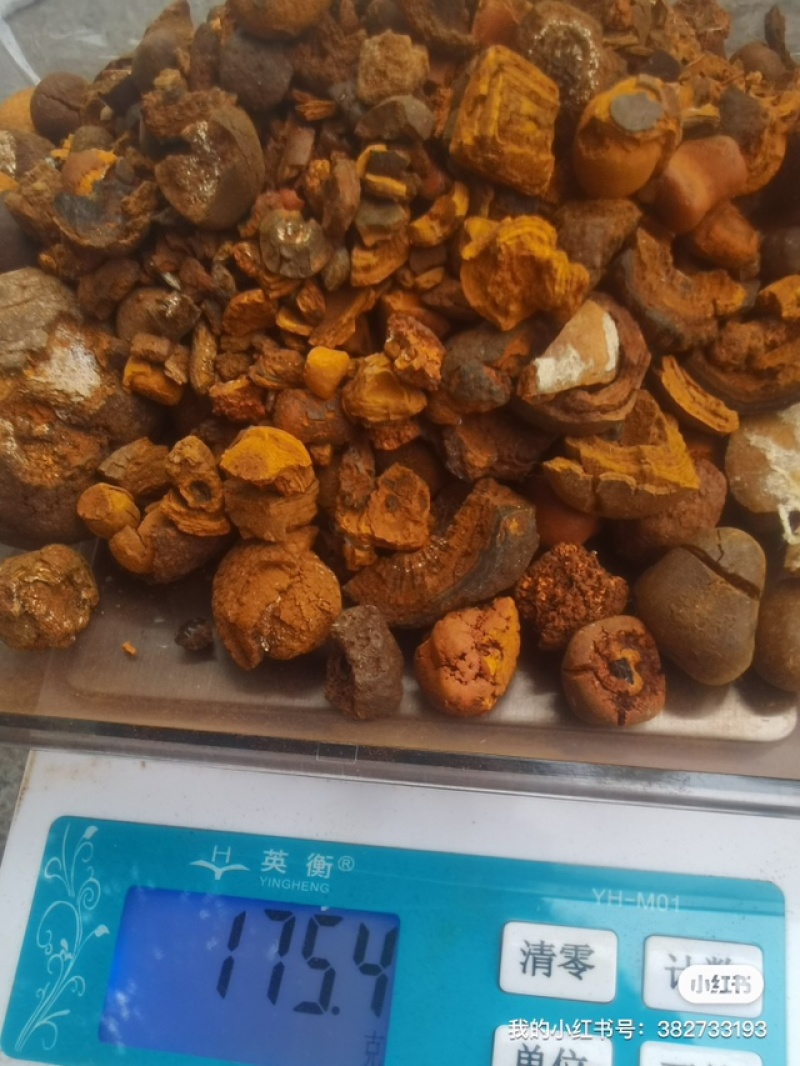 本公司长期在广州收购天然牛黄