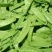 荷兰豆(南非中荚豆)