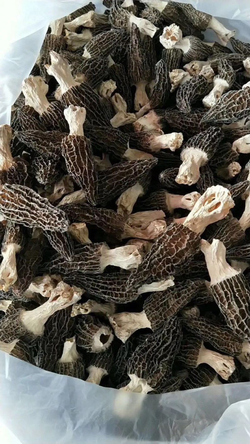 原产地直发羊肚菌