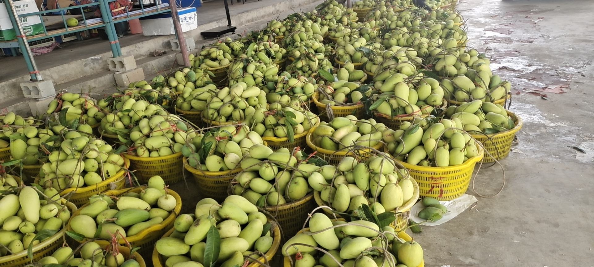 南宁水果摊位实景