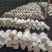 地摊爆品-5次采优质菌棒