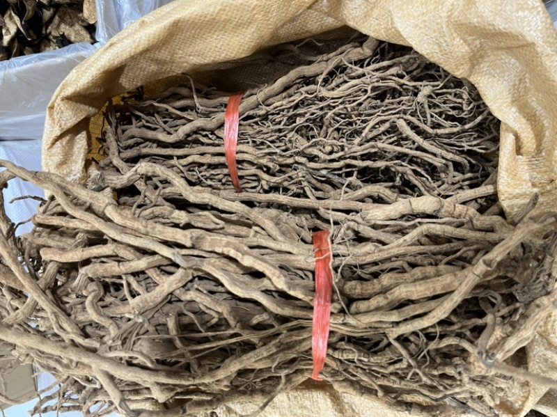 胡椒根靓胡椒根海南胡椒根野生胡椒根细根