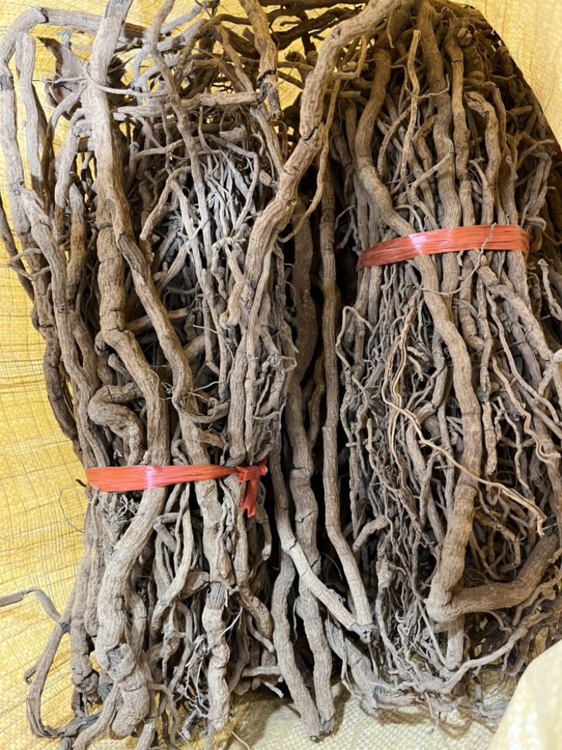 胡椒根靓胡椒根海南胡椒根野生胡椒根细根