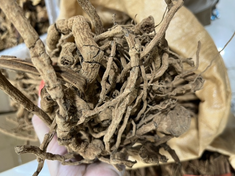 胡椒根靓胡椒根海南胡椒根野生胡椒根细根