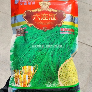 割茬小茴香种籽绿翡翠割茬茴香种子耐寒蔬菜种子四季蔬菜种子