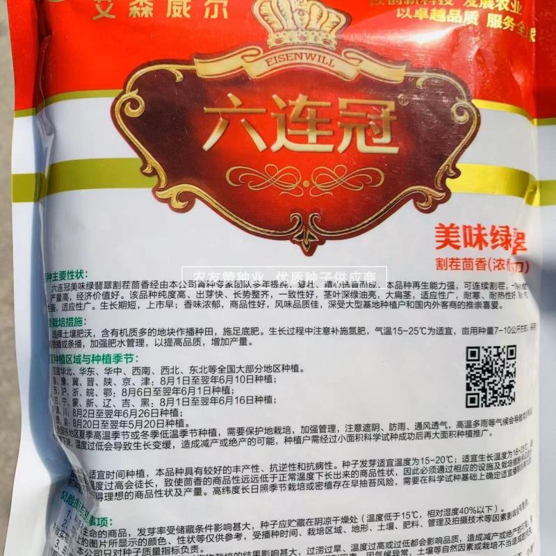 割茬小茴香种籽绿翡翠割茬茴香种子耐寒蔬菜种子四季蔬菜种子