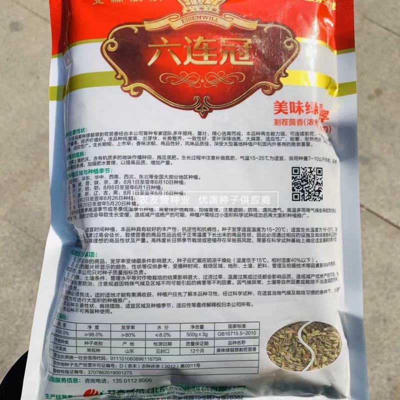 割茬小茴香种籽绿翡翠割茬茴香种子耐寒蔬菜种子四季蔬菜种子
