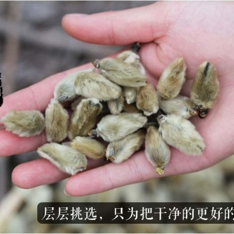 批发现货辛夷花中药材香料香料诚信经营
