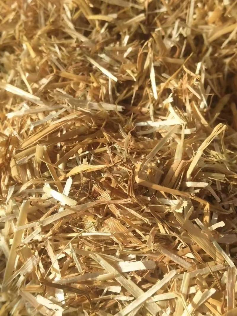 安徽品质小麦秸秆柔丝压块，干，白，净，无土无膜无霉变。