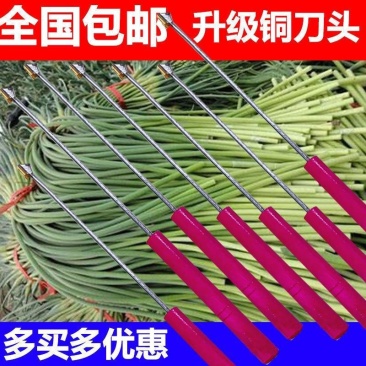 抽蒜苔剥蒜苔打蒜台的工具划蒜苔快速拔剔蒜薹提摘蒜苔收