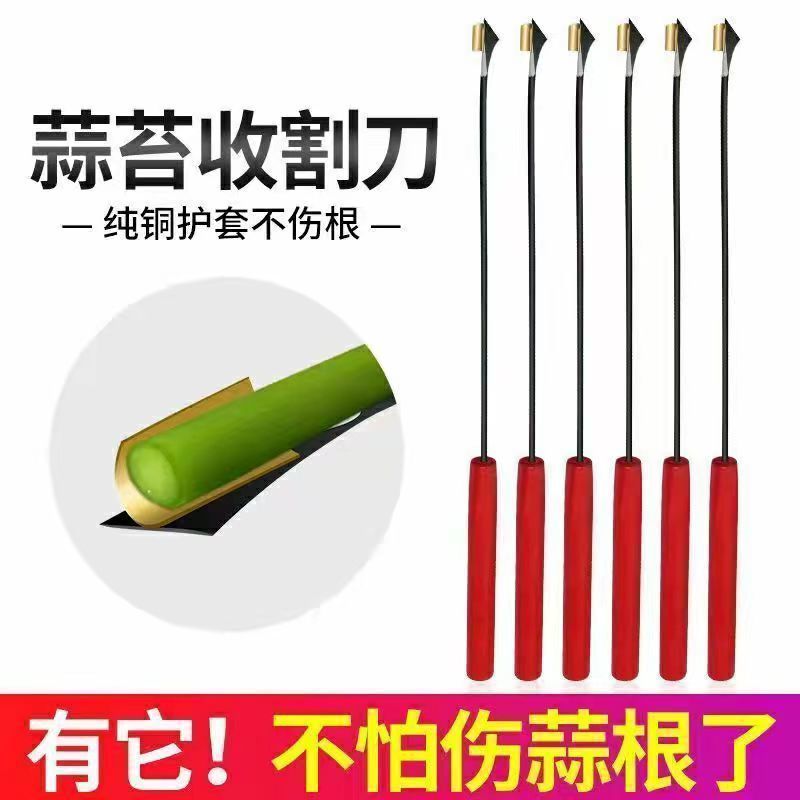 抽蒜苔剥蒜苔打蒜台的工具划蒜苔快速拔剔蒜薹提摘蒜苔收