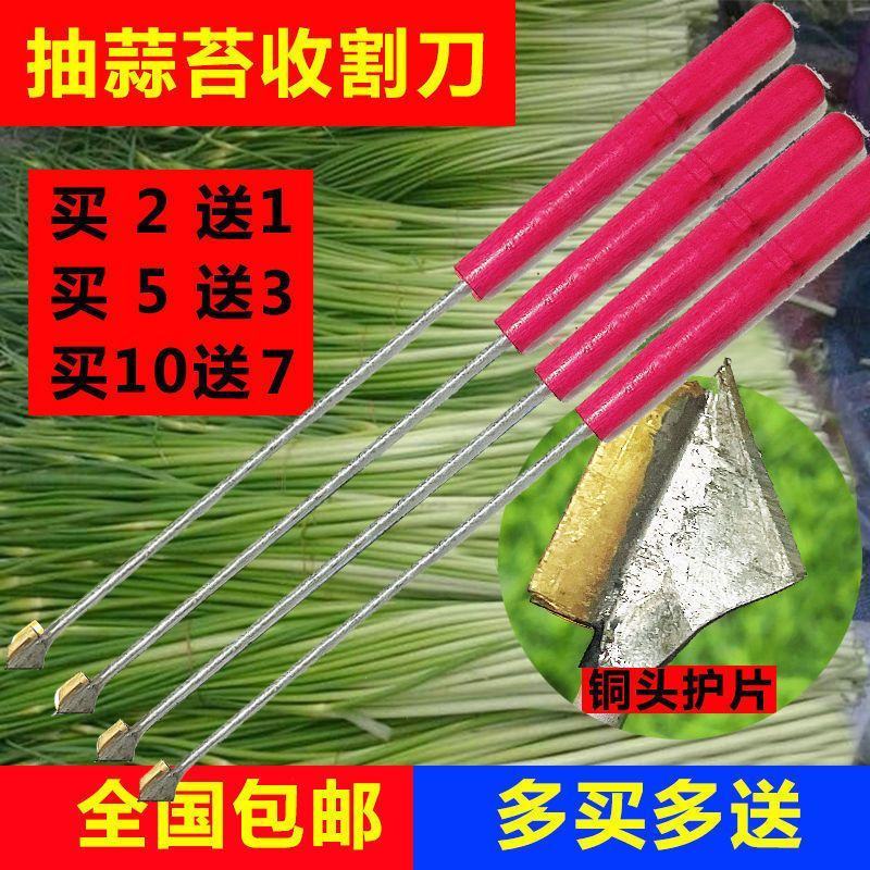 抽蒜苔剥蒜苔打蒜台的工具划蒜苔快速拔剔蒜薹提摘蒜苔收