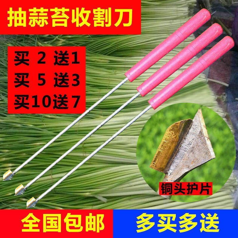 抽蒜苔剥蒜苔打蒜台的工具划蒜苔快速拔剔蒜薹提摘蒜苔收