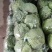 邯郸，精品甘蓝大量上市，发往全国量大从优一手货源，可视频