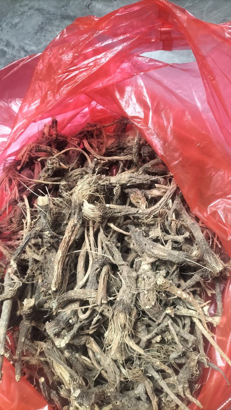 野生前胡货不多了