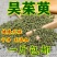 正宗江西中花过色选吴茱萸，颜色青，气味浓