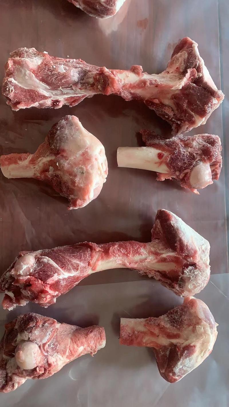 加肉前棒骨肉含量高、骨隨满适合火锅，量大从优，长期有货。