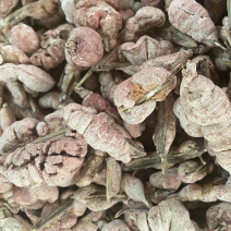 野生竹黄中药材精选苦竹花泡酒竹竿花新货淡竹花