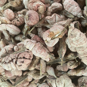 野生竹黄中药材精选苦竹花泡酒竹竿花新货淡竹花
