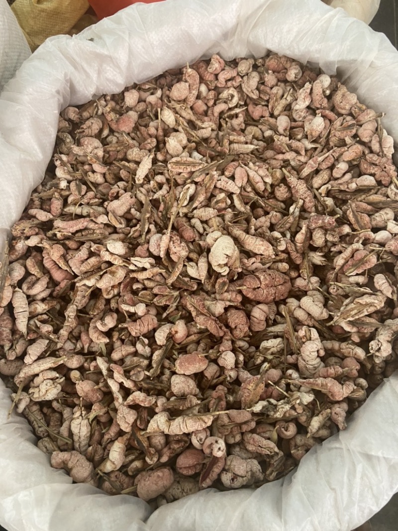 野生竹黄中药材精选苦竹花泡酒竹竿花新货淡竹花