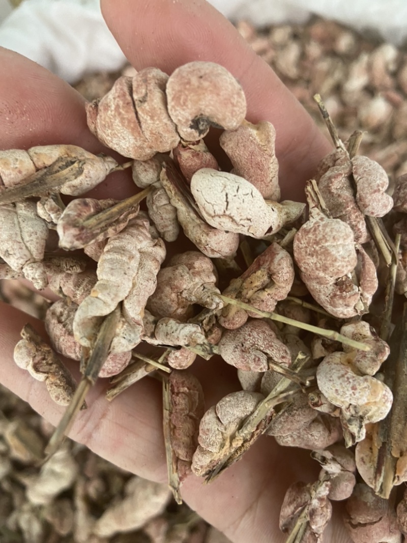 野生竹黄中药材精选苦竹花泡酒竹竿花新货淡竹花