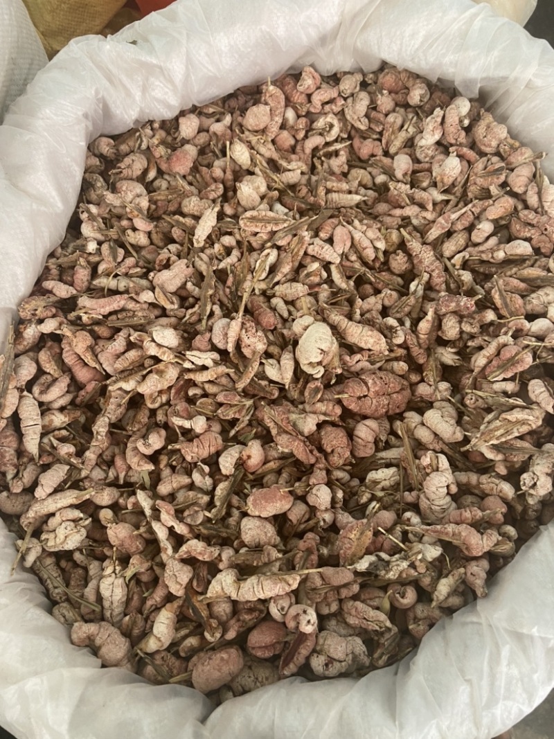野生竹黄中药材精选苦竹花泡酒竹竿花新货淡竹花
