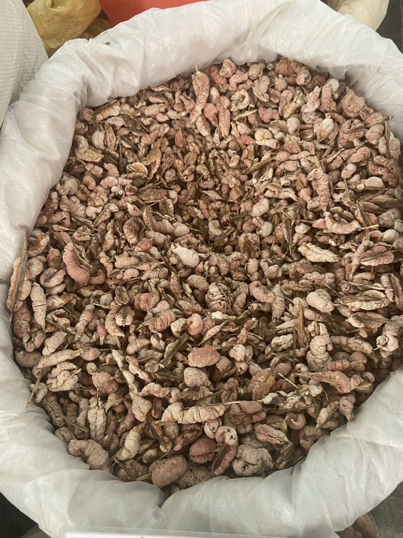 野生竹黄中药材精选苦竹花泡酒竹竿花新货淡竹花