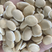 白扁豆新货云南农家食用药用白云豆白芸豆