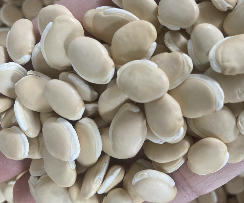白扁豆新货云南农家食用药用白云豆白芸豆