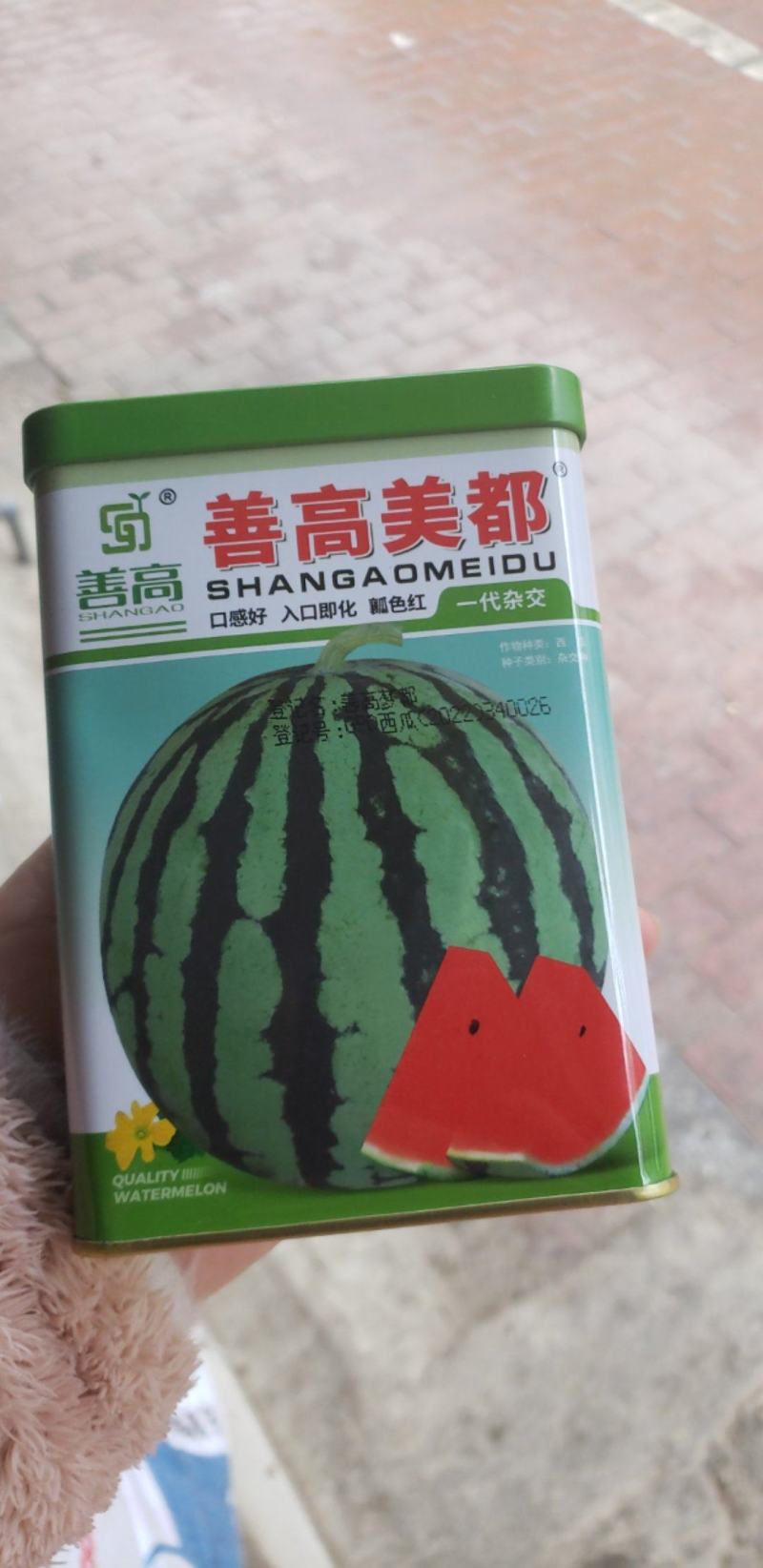 美都西瓜种子，早熟西瓜品种，果皮淡绿色，覆墨绿色皮带，