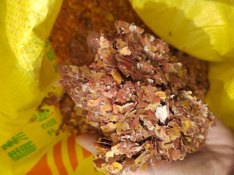 花生衣花生皮新鲜五红汤原色花生衣