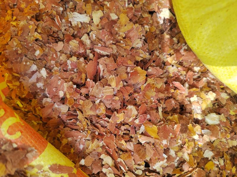 花生衣花生皮新鲜五红汤原色花生衣