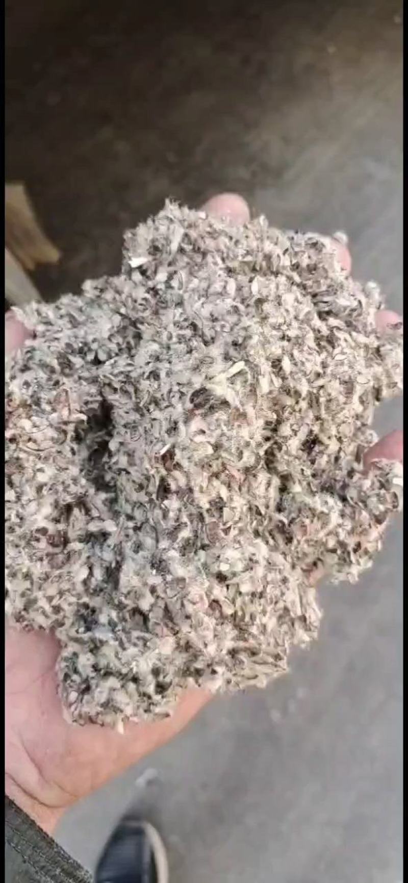 新疆优质棉籽壳