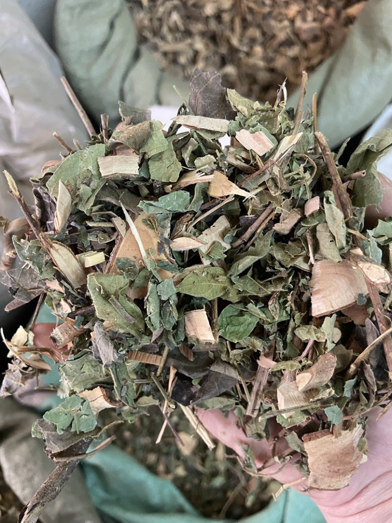 中药材漆大姑毛漆毛七哥毛七公大毛七正宗漆大姑