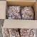 熟羊肉山羊肉。精修无油。一手货源，全熟