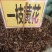 中药材一枝黄花野生货源充足批发零售