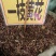 中药材一枝黄花野生货源充足批发零售
