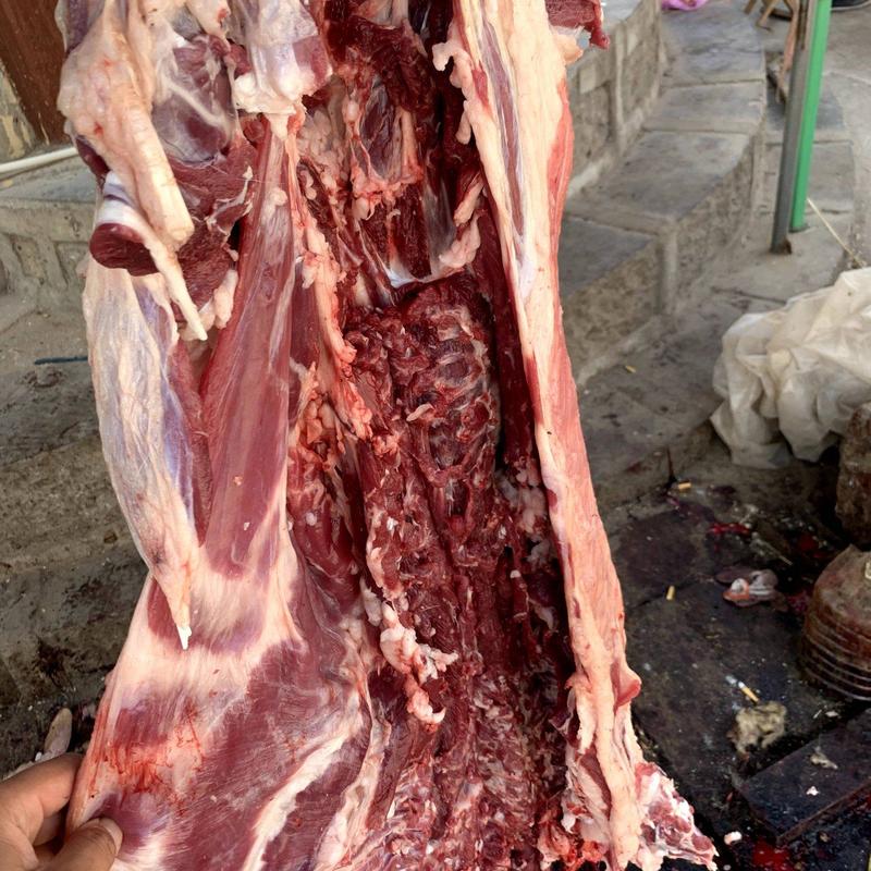 山羊肉鲜羊肉剔骨羊肉精修无油。