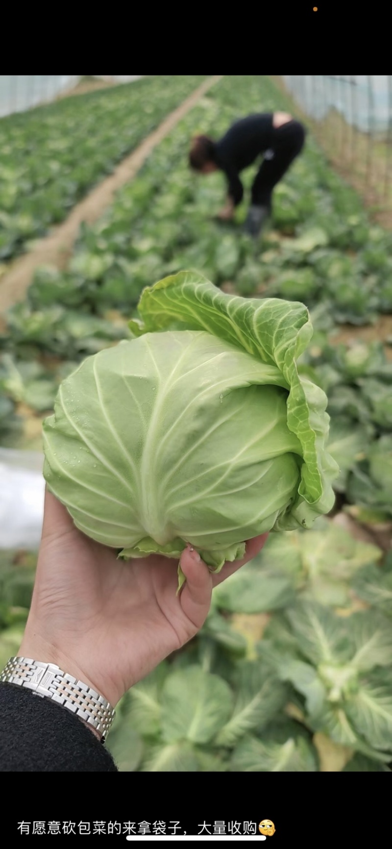需要客户，诚信经营