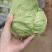 需要客户，诚信经营