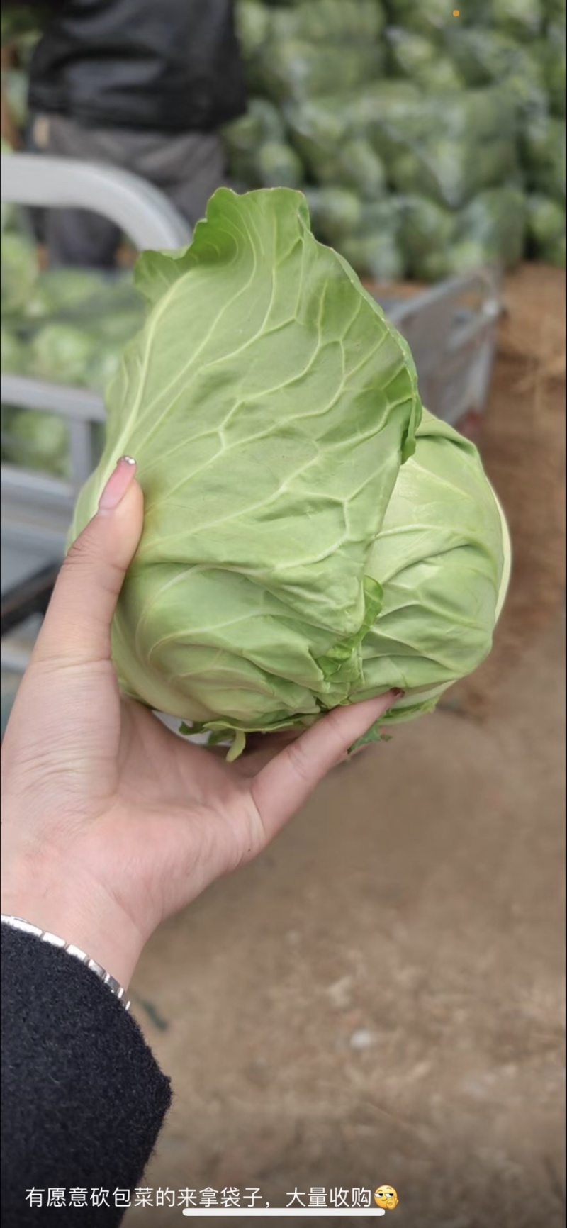 需要客户，诚信经营