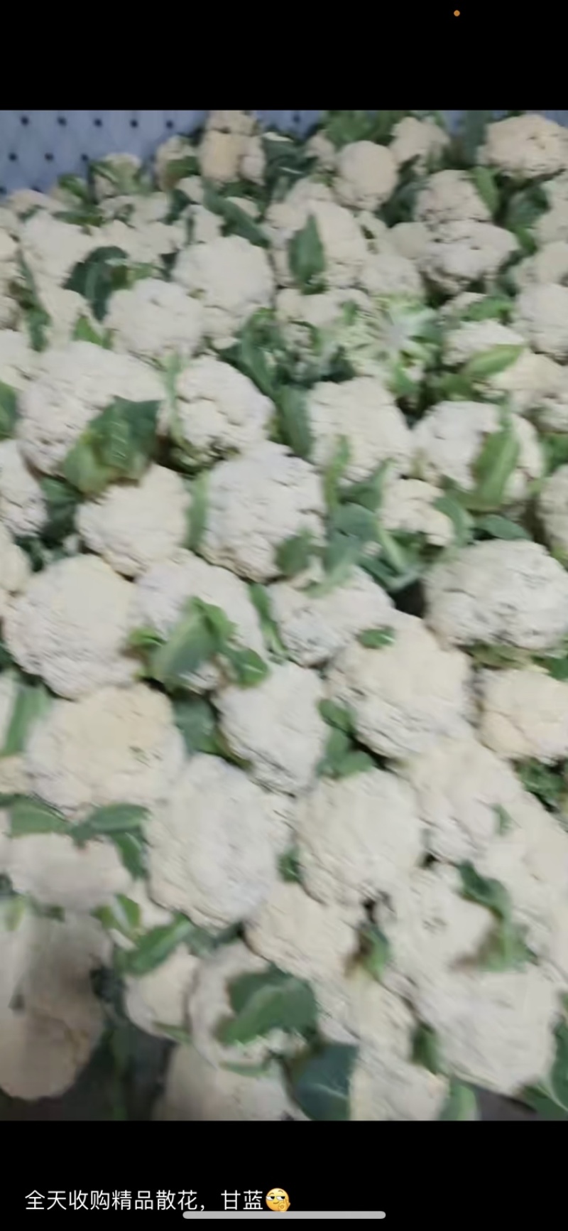 需要客户，诚信经营