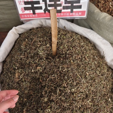 中药材旱莲草墨旱莲新货货源充足批发零售