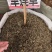中药材旱莲草墨旱莲新货货源充足批发零售