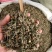 中药材旱莲草墨旱莲新货货源充足批发零售
